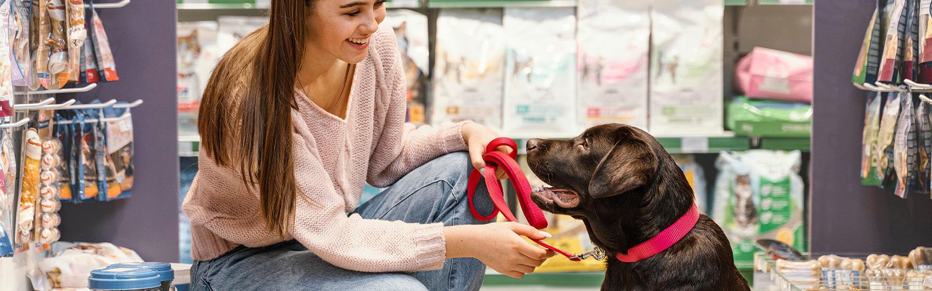 Odpowiedzialna decyzja o posiadaniu psa. 5 kwestii do przemyślenia zanim kupisz psa.